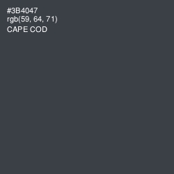 #3B4047 - Cape Cod Color Image